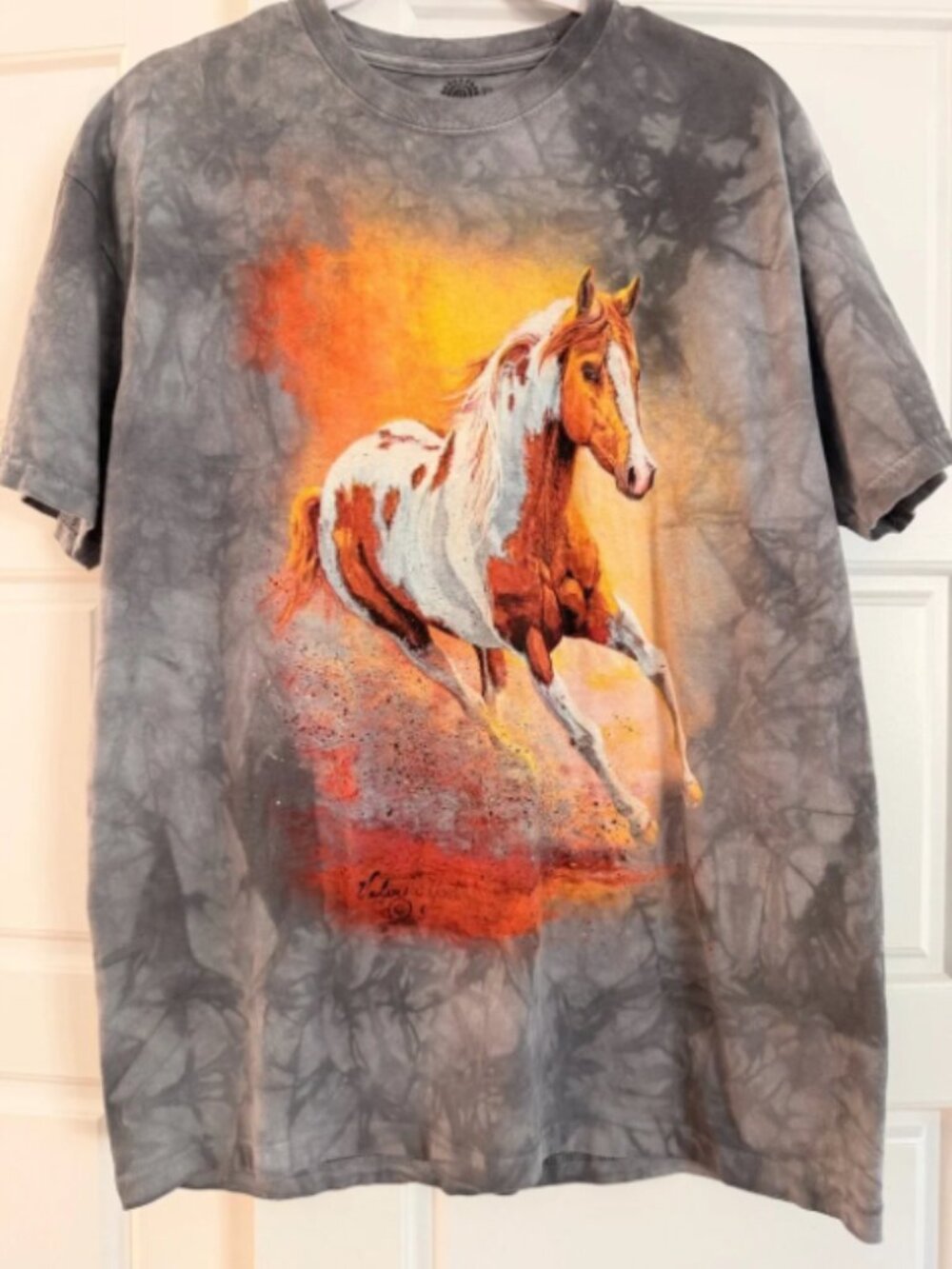 The Mountain Gray Horse Tie-Dye Tee
